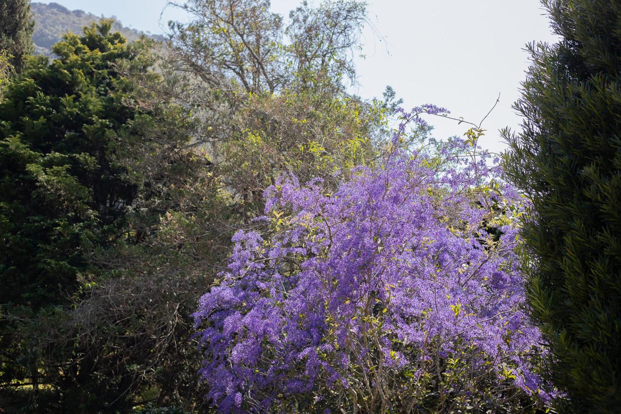 Recanto Dos Vianas Teresópolis エクステリア 写真